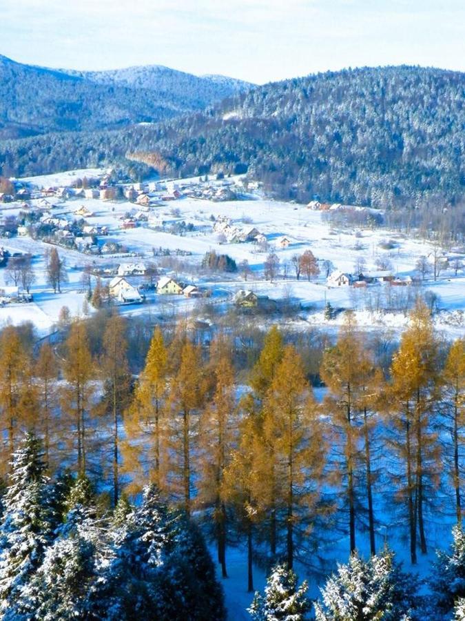 Osrodek Uzdrowiskowy Beskid Hotel Wysowa-Zdrój Kültér fotó